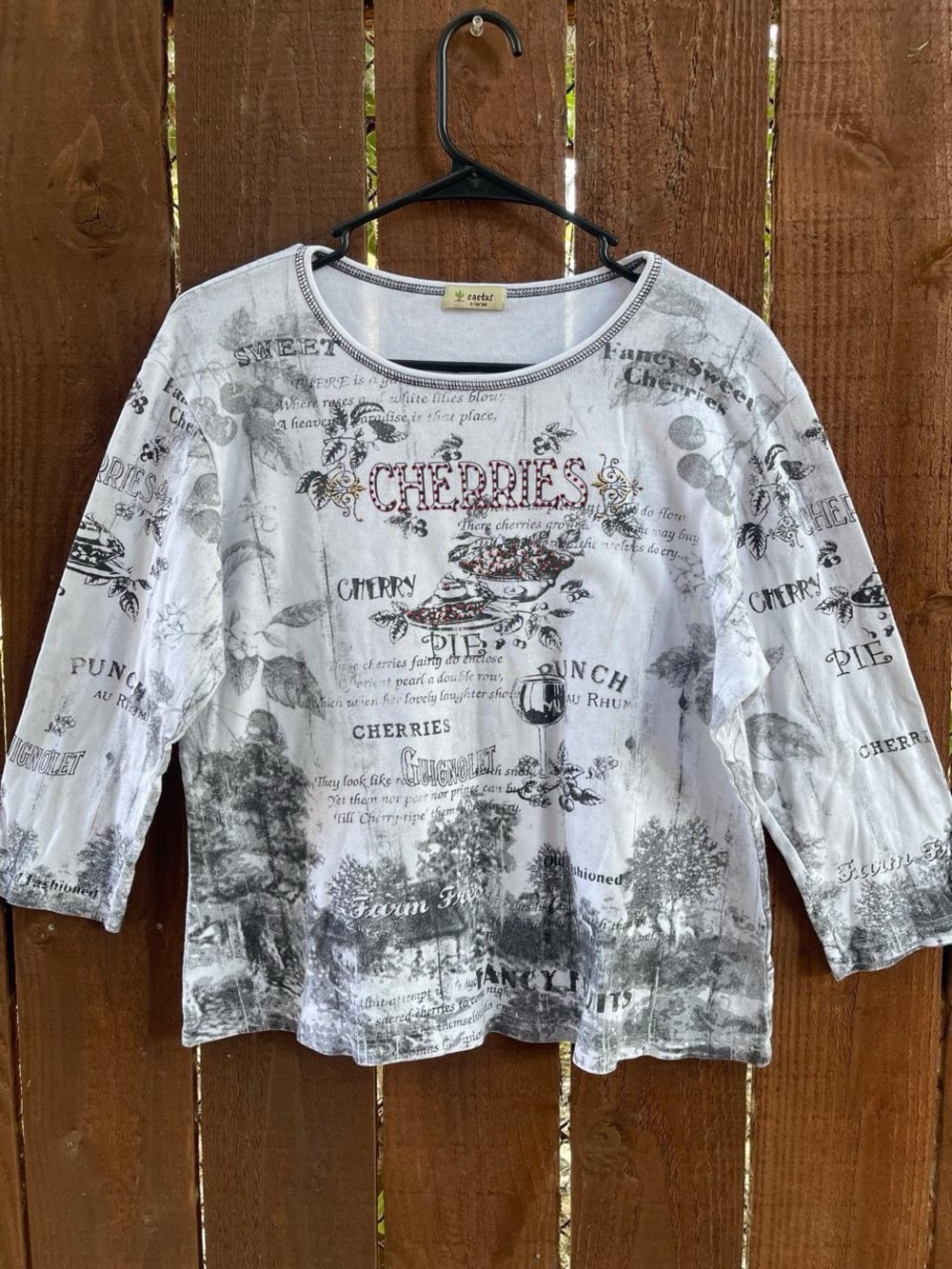 Cactus Y2K Whimsigoth Sequin Cherries Pie Novelty Print 3/4 Sleeve Top Sz XL